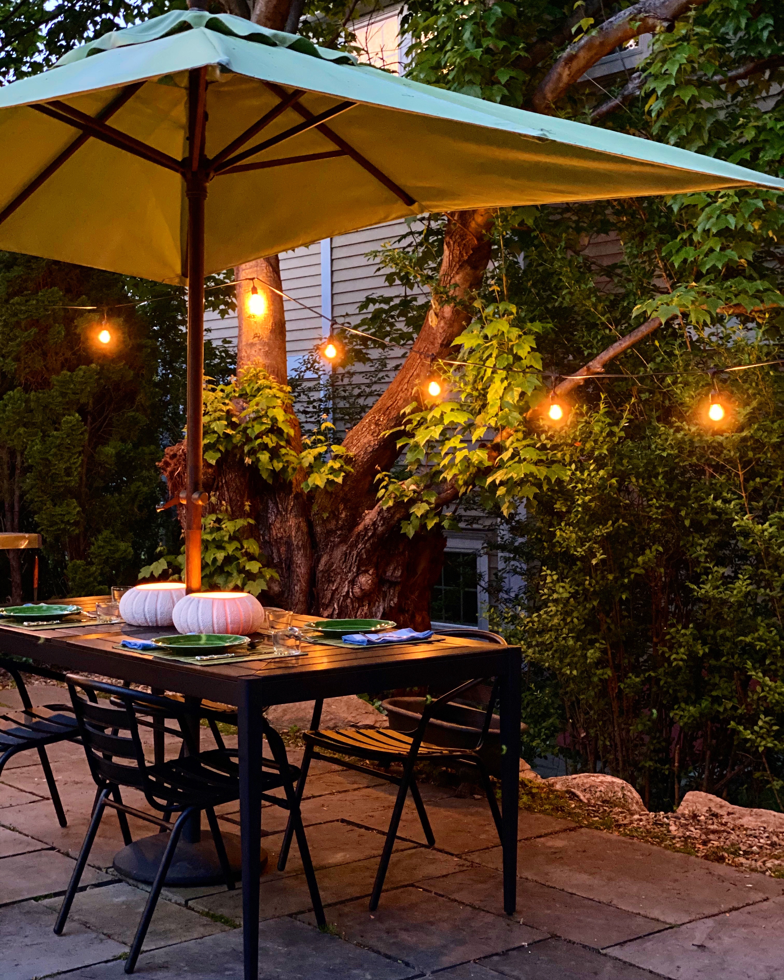 Week Eleven Corona Virus Hiatus: Entertaining Outside