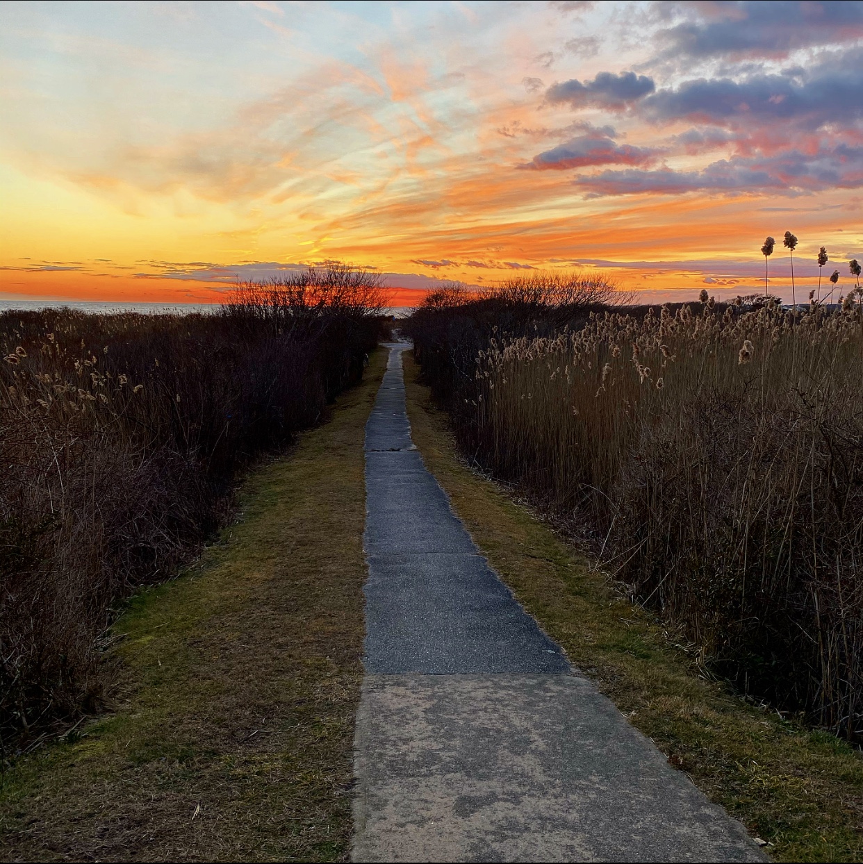 Favorite Favorites of 2020…