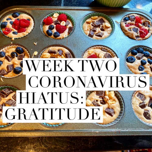 Week Two Coronavirus Hiatus: Gratitude