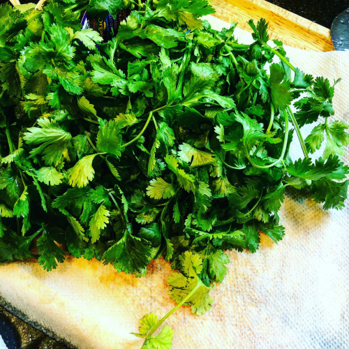 My Own Magic Green Sauce